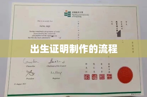 波密出生证明制作的流程